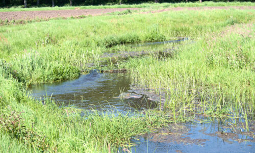 Natuurgebieden in Hoogeveen
